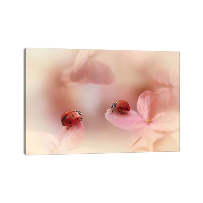 iCanvas "Ladybugs On Pink Hydrangea." by Ellen van Deelen Canvas Print