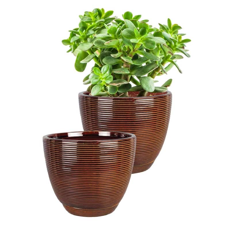 Southern Patio Caylin Planter, 2-pack - 8" Diameter (2-pack) - 8" Diameter (2-pack) - Java