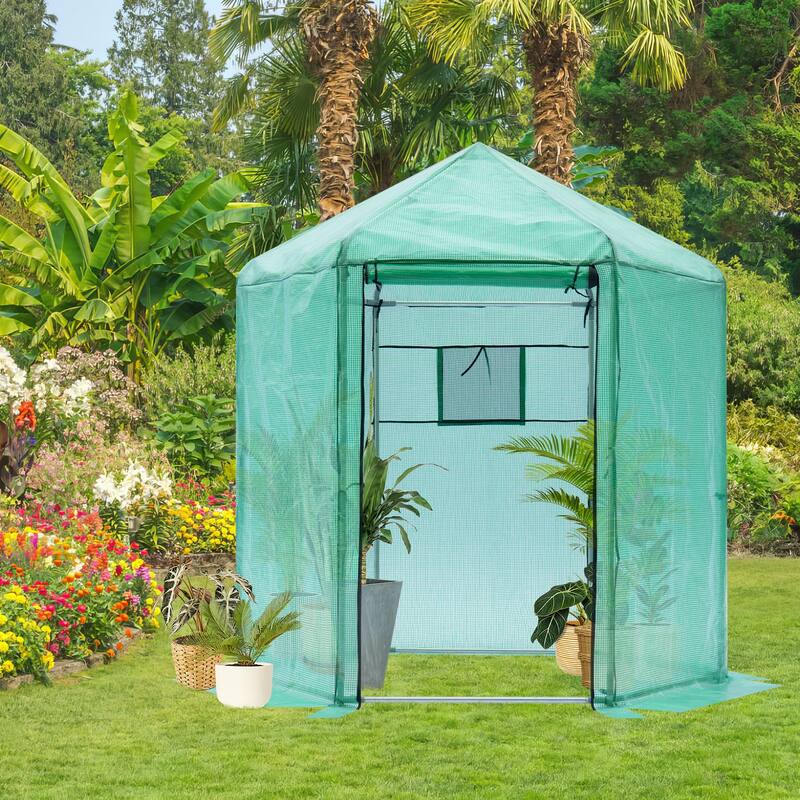 Walk-in Greenhouse, Metal Frame with PE Cover, Roll-Up Door & Window