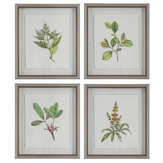 Uttermost Wildflower Study Framed Prints, S/4 - 19 W x 22 H x 1.75 D (inches)