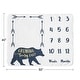 preview thumbnail 4 of 4, Woodland Forest Bear Boy Baby Monthly Milestone Blanket - Navy Blue and Gold Arrow Big Bear Collection Growing Beary Fast