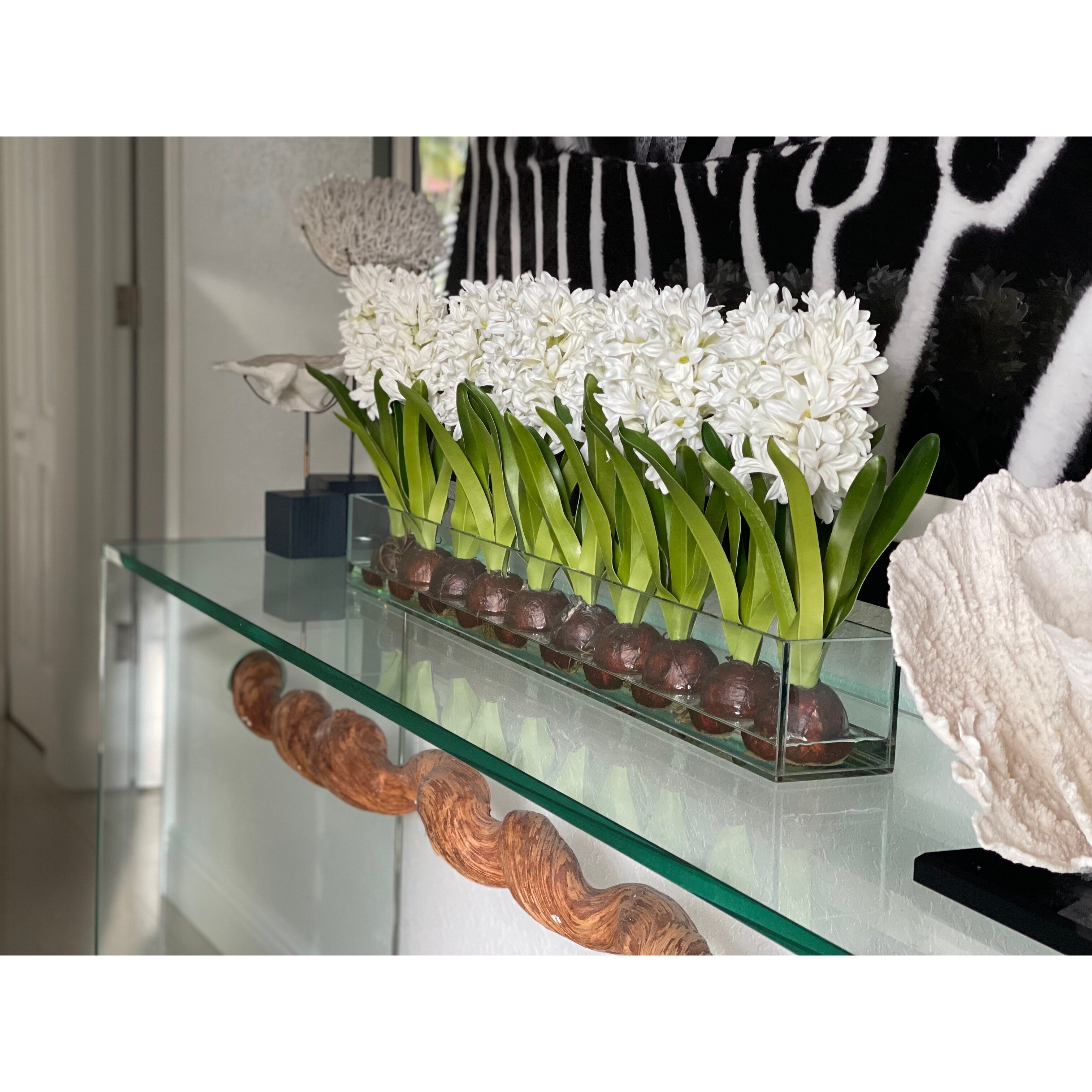 Seashell Succulent Planter Pot, Bowl & Vase, Handmade Conch Detailed White  Planter, Large 9.5 Flower Plant Vase, Carved Beach Shell Decor - & Indoor