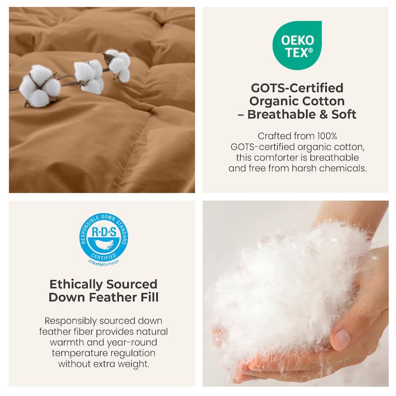 All Season 300TC Organic Cotton Down Comforter - 100% Natural, Chemical-Free, Medium Warmth Duvet Insert