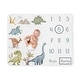 preview thumbnail 1 of 4, Sweet Jojo Designs Watercolor Dinosaur Dino Boy Baby Monthly Milestone Blanket Green Blue Modern Jurassic Nature Animal Steel