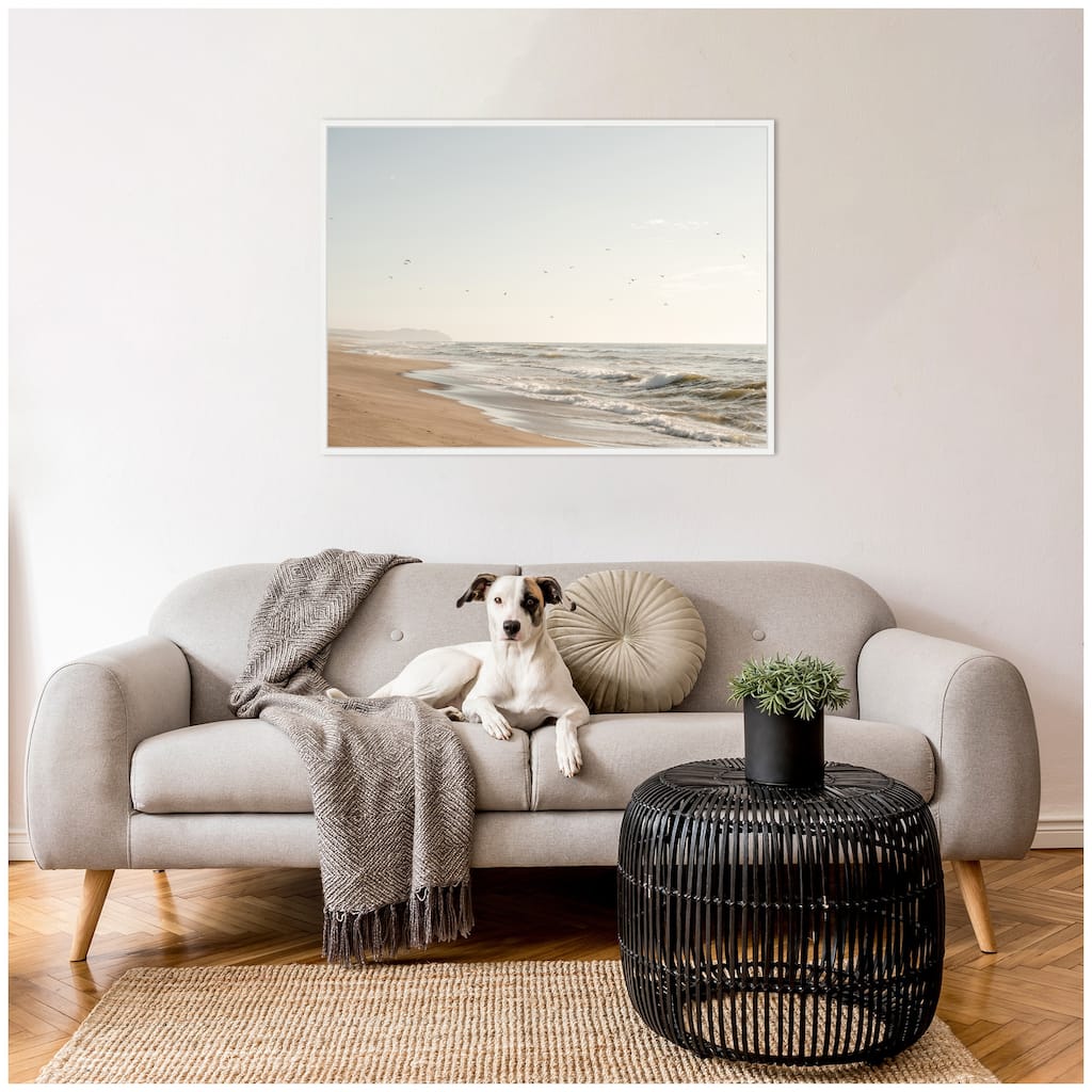 Kate and Laurel Sylvie Coastal Flight Framed Canvas by Crystal Lynn Collins