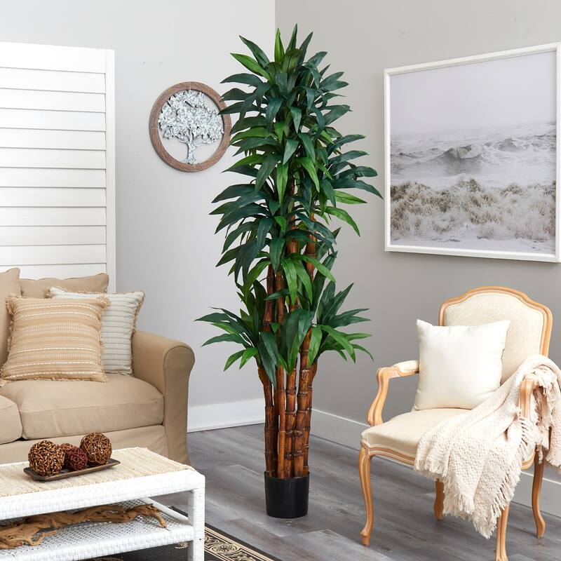 Dracaena Tree Indoor Plant 6.5ft Tall Modern Home Office Decor - 6.5ft.