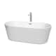 Option White, Brushed Nickel Trim & Faucet