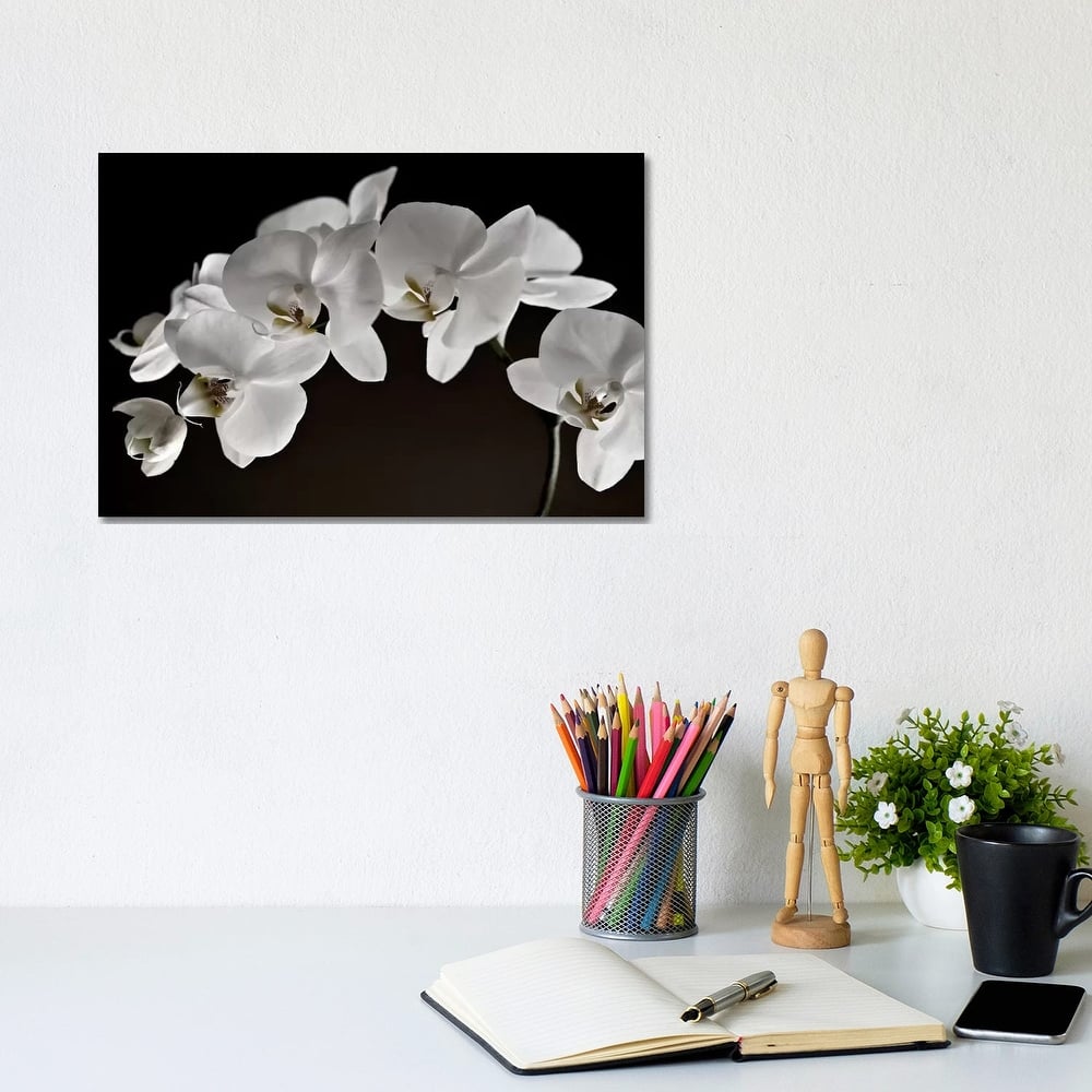 iCanvas "Orchids" by Symposium Design Canvas Print