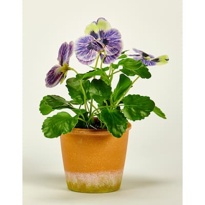 10" Pansy in 4" Clay Look Pot, Blue - 10