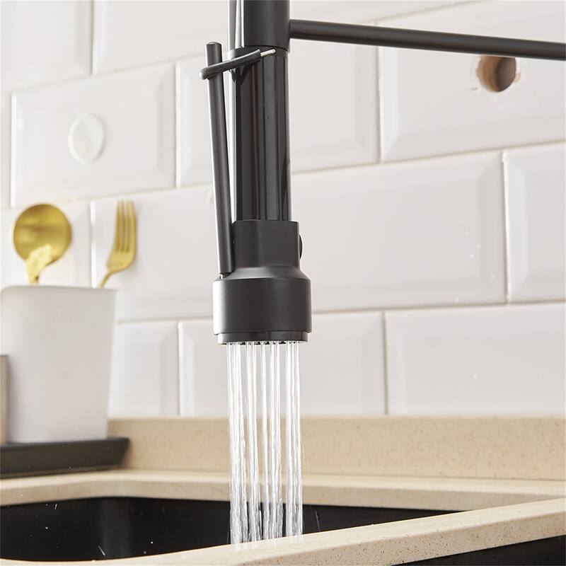 Single Handle Single Lever Kitchen Faucet with Pull Down Sprayer
