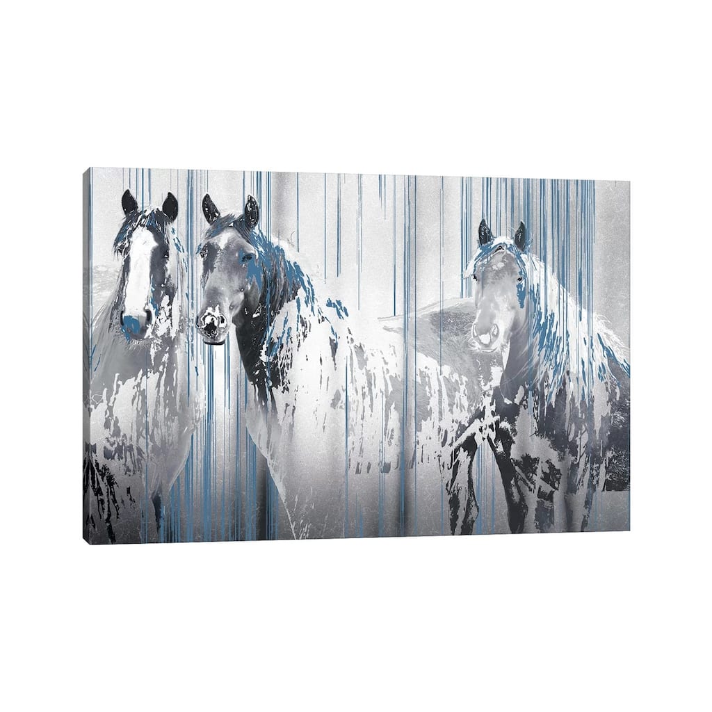 iCanvas "Three's Company" by Marvin Pelkey Canvas Print