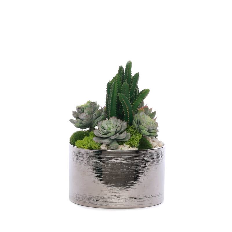 Succulent Arrangement with Geodes and Moss in Sliver Round Pot - Green