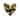 iCanvas "Big Hearted Black and Gold" by Lindsay Rodgers Canvas Print