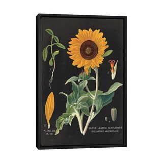iCanvas "Sunflower Chart" by Sue Schlabach Framed Canvas Print - Bed ...