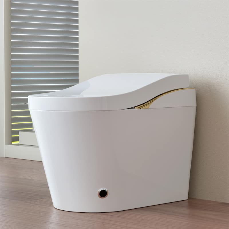 Smart Toilet with Bidet & Auto Flush