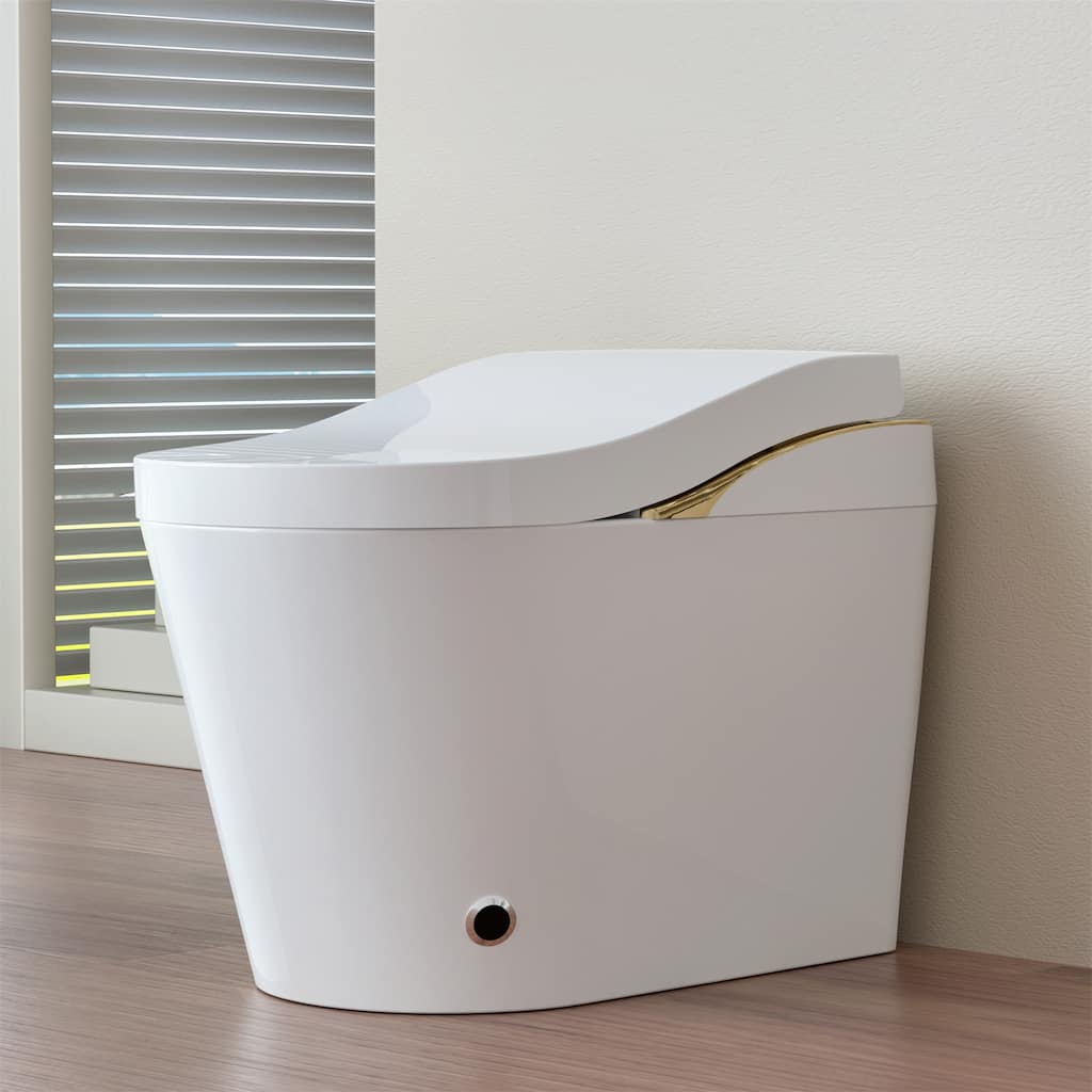 Smart Toilet with Bidet & Auto Flush