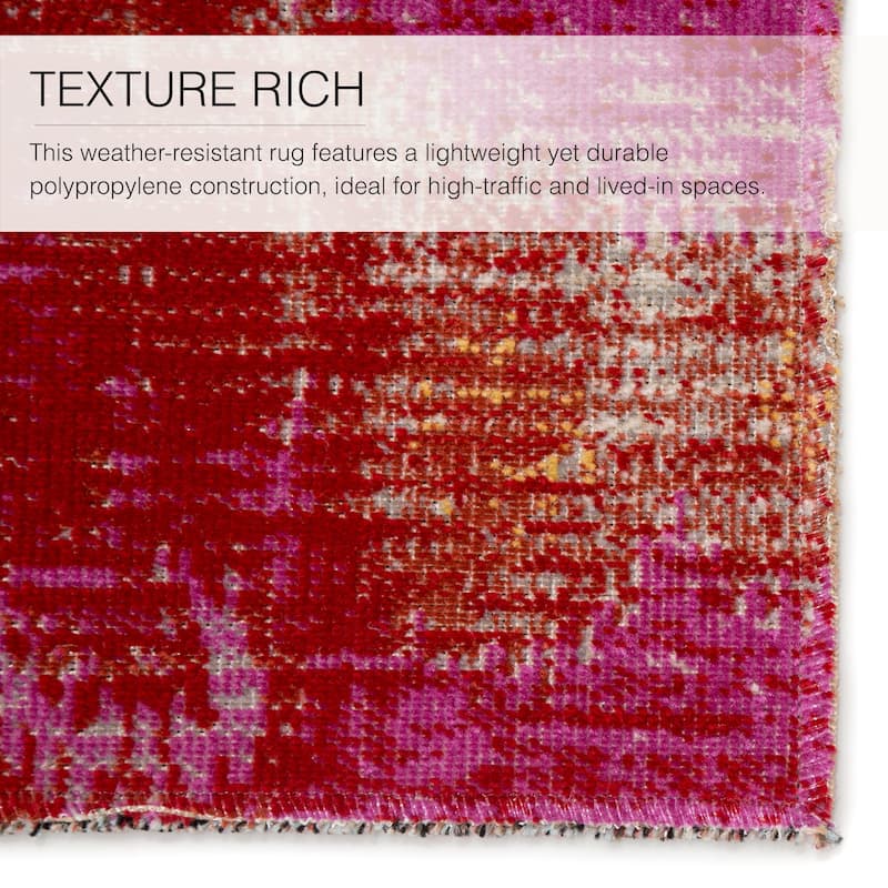 Nyla Indoor/ Outdoor Ikat Area Rug