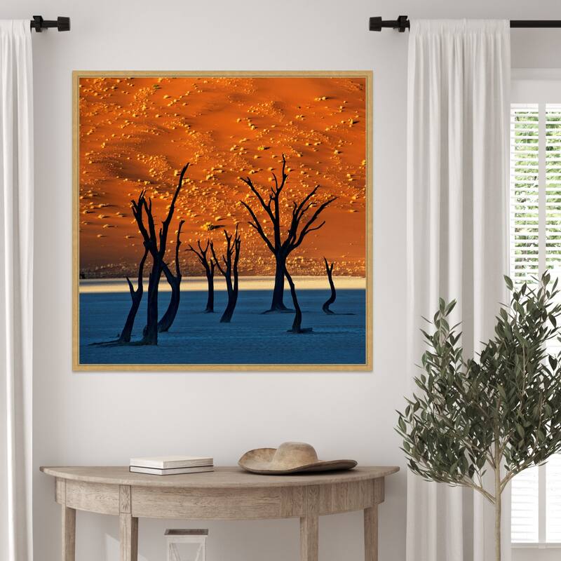 The Old Marsh by Sossusvlei Namibia Framed Canvas Wall Art Print