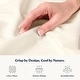 preview thumbnail 24 of 33, Delara 100% Organic Cotton Percale Weave Sheet, Flat Sheet, 400 Thread Count GOTS Certified