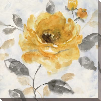 "Honey Rose I" by Nan Print on Canvas