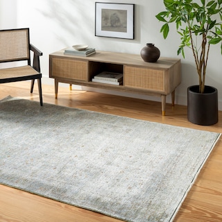 Blanchard Traditional Area Rug