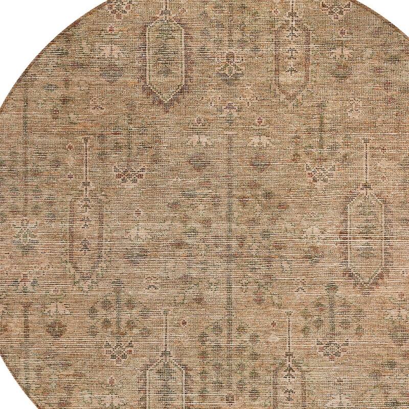 HomeRoots Southwestern Transitional Rectangle Outdoor Rug