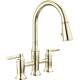 Option Lumicoat Polished Nickel