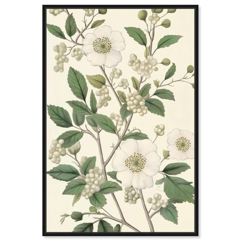 White Cherokee I Canvas by Art Remedy