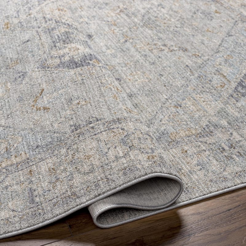 Traci Traditional Scroll Area Rug