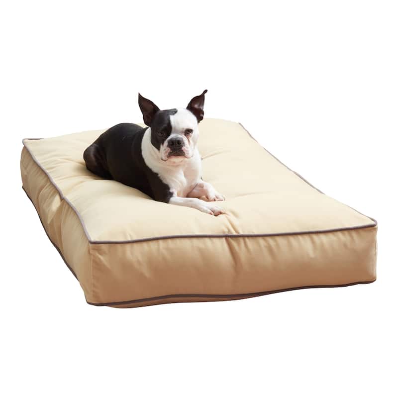Buster Buttercream Pillow Dog Bed - Medium (42" x 30")