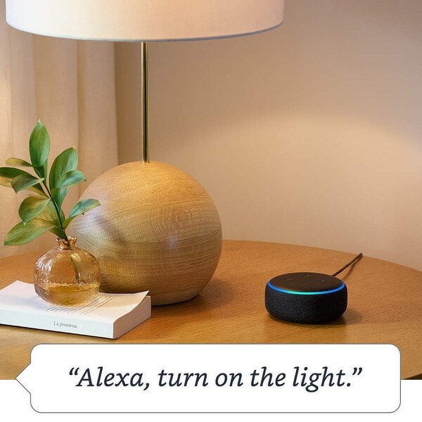 charcoal echo dot