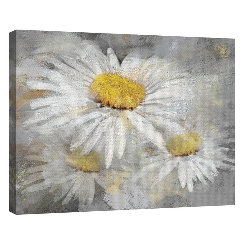 Daisy Portrait by Studio Arts Canvas Art Print