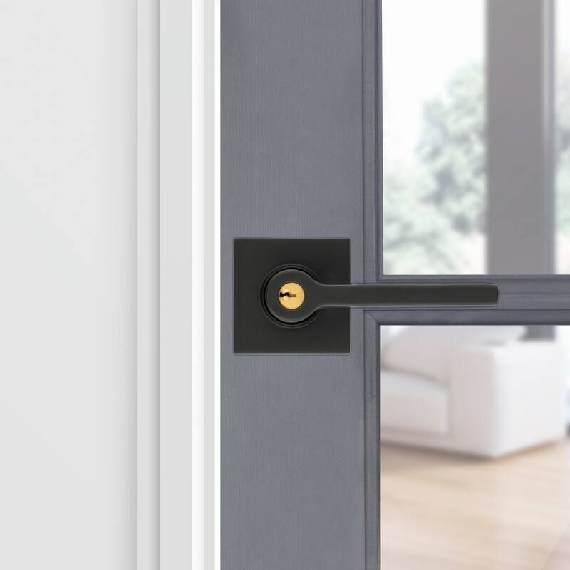 Baldwin Contemporary Right Handed Single Cylinder Keyed Entry Door