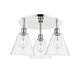 Option Clear / Polished Nickel