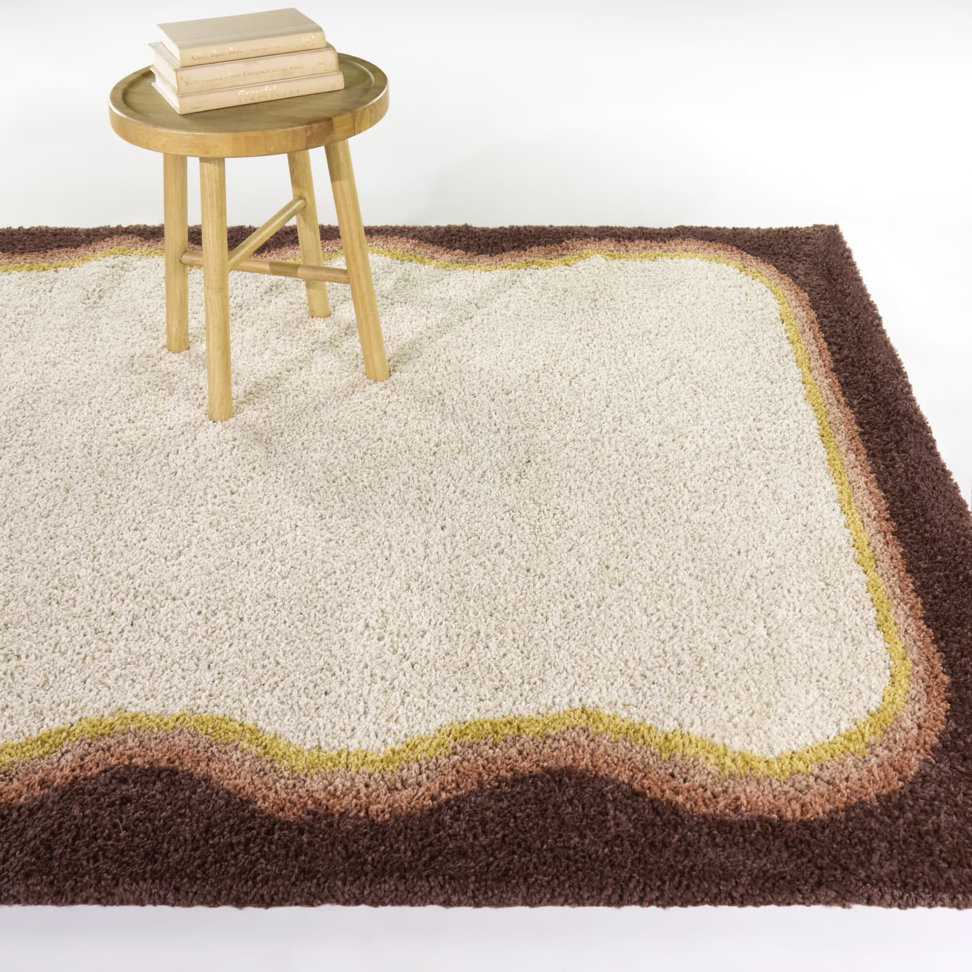 Feinman Border Shag Area Rug