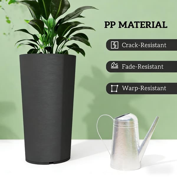 planting money plant seeds Money Plant Garden Grocan