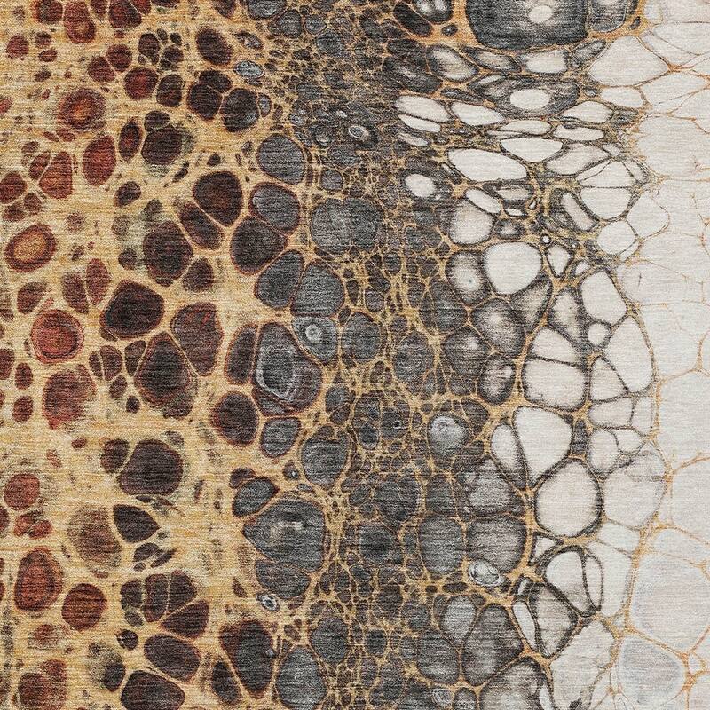 HomeRoots Abstract Transitional Rectangle Outdoor Rug