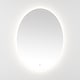 preview thumbnail 18 of 20, SAFAVIEH Nolan 32 x 2 Inch W x H Oval LED Aluminum Vanity Mirror