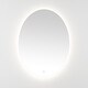 preview thumbnail 10 of 20, SAFAVIEH Nolan 32 x 2 Inch W x H Oval LED Aluminum Vanity Mirror