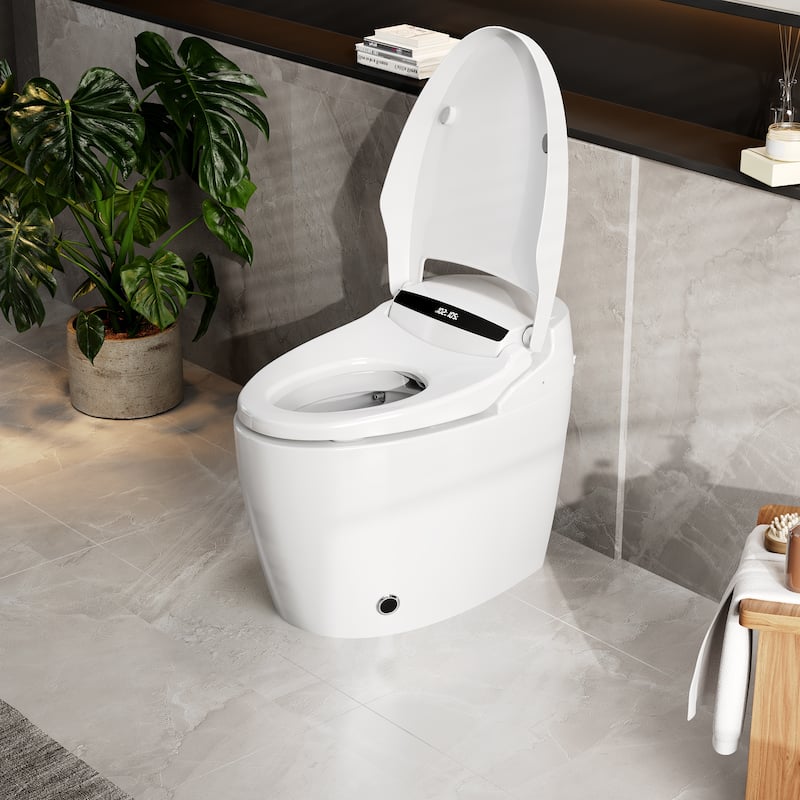 Smart Toilet with Heated Seat & Warm Air Dryer, Auto Flush One Piece Toilet with Night Light, Self Cleaning Nozzle