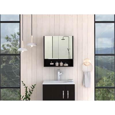 Manchester Rectangle Medicine Cabinet with Mirror