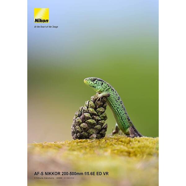 Nikon Af S Nikkor 0 500mm F 5 6e Ed Vr Lens For Nikon Dslr Digital Overstock