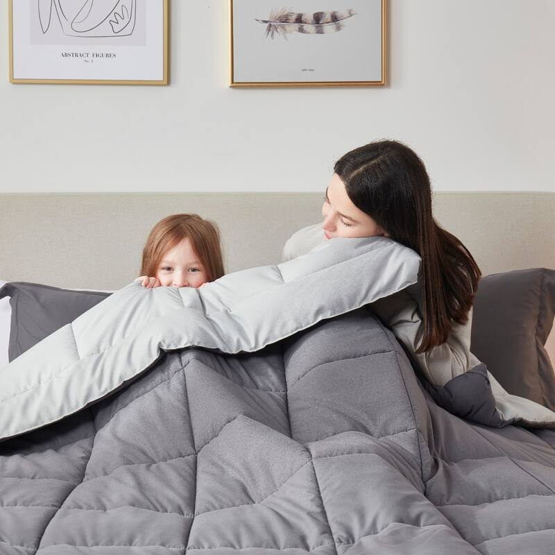 Empyrean All Season Alternative Down Lightweight Reversible Comforter Set