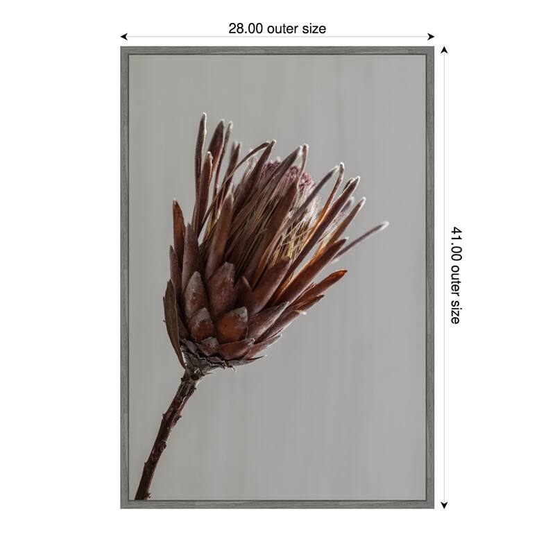 Momo by Shot by Clint Framed Canvas Wall Art Print - 28 x 41 in