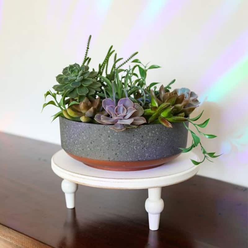 The HC Companies Capri Bowl Succulent Planter, Faux Concrete Copper (2 Pack) - 0.60
