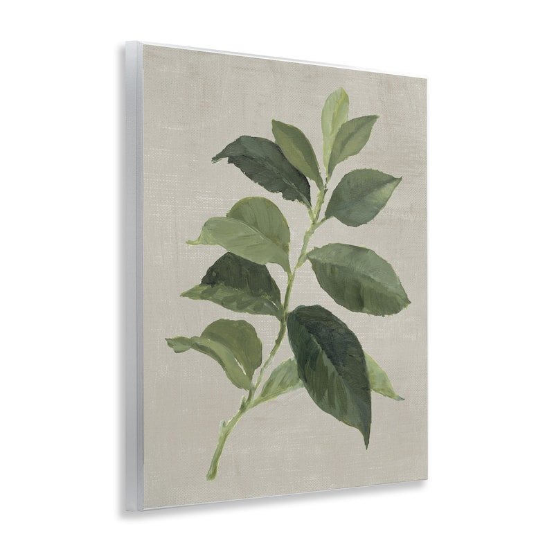 Stupell Arabica Coffee Plant Leaf Wall Plaque Art Design By Lanie Loreth