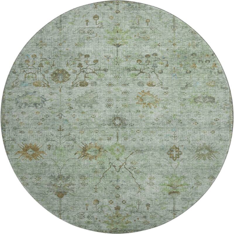 Premium Washable Super Soft Vintage Traditional Mayfield Rug