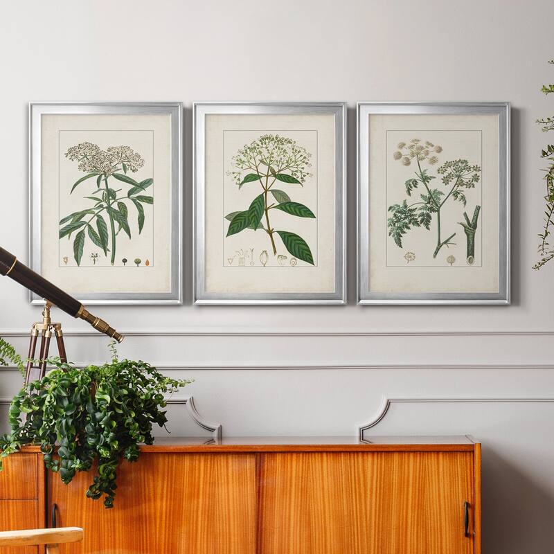 Antique Turpin Botanical VII Premium Framed Canvas - Ready to Hang - Multi-Color
