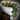 48" Natural Touch Magnolia Leaf Garland