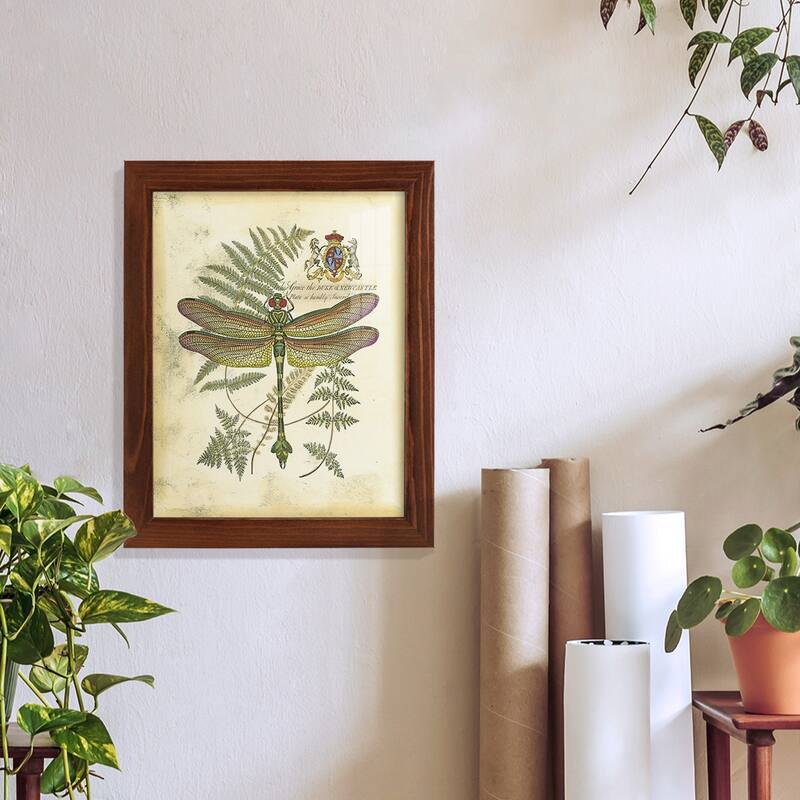 Regal Dragonfly III (PP) -Framed Print w/glass-Cherry Red